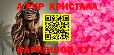 ГАЛЛЮЦИНОГЕННЫЕ ГРИБЫ Кингисепп