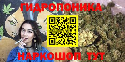 мдпв Кинель