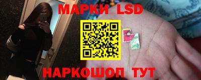 ГАЛЛЮЦИНОГЕННЫЕ ГРИБЫ Кингисепп