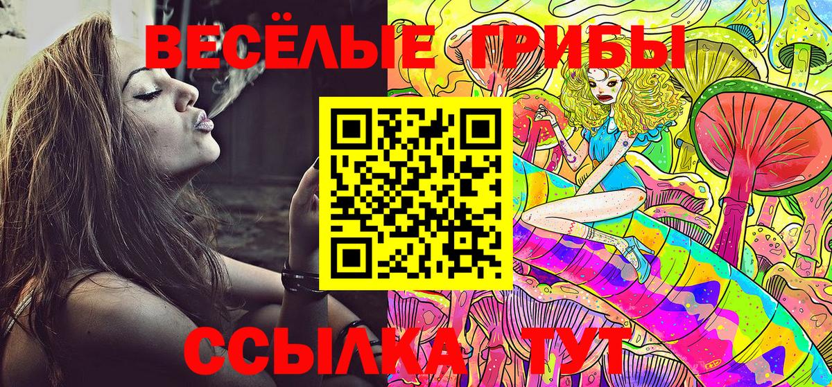Галлюциногенные грибы MAGIC MUSHROOMS  Галлюциногенные грибы прущие грибы  магазин продажи наркотиков  Вход с VPN  Корсаков 